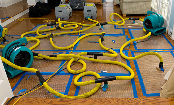 Professional Crawl Space Water Removal technician working in Lawrenceville, IL
